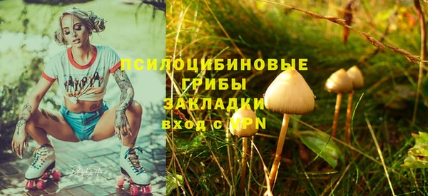 каннабис Новозыбков