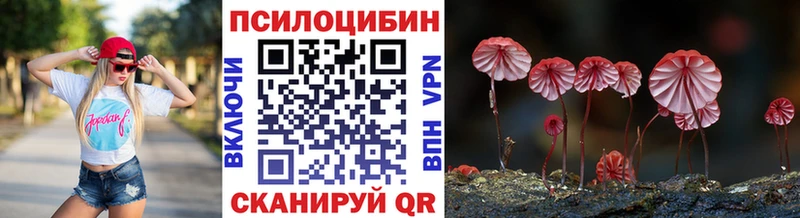 купить   Павловская  Псилоцибиновые грибы Psilocybine cubensis 